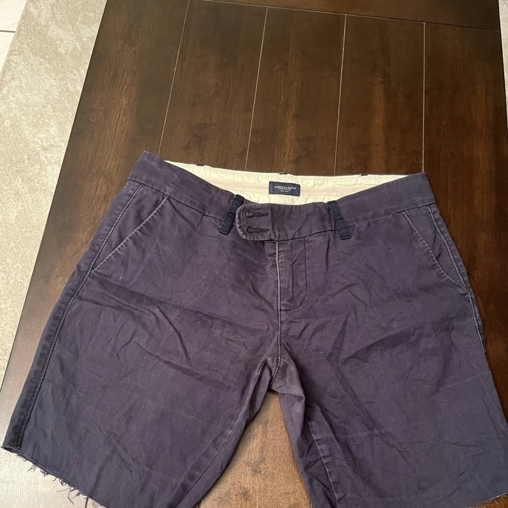 American Eagle Outfitters Men's Dark Purple Shorts